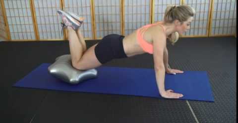 Free fitness programs from AbStar Gyms featuring the Exercise Star - displaying pushups